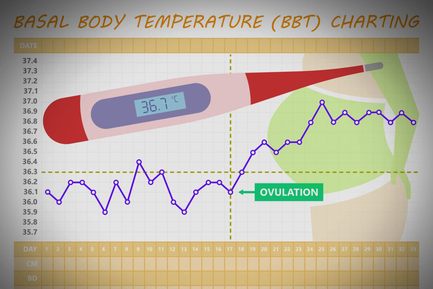 72 Basal Body Temperature Chart Royalty Free Images Stock 58 OFF